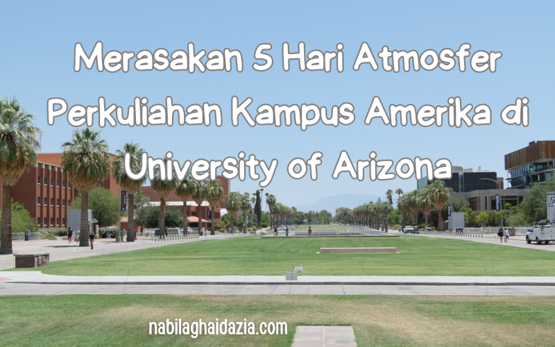 Kuliah di kampus university of arizona